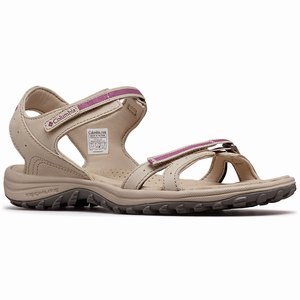 Columbia Santiam™ Sandaler Dam Grå/Lila (FUVYX8205)